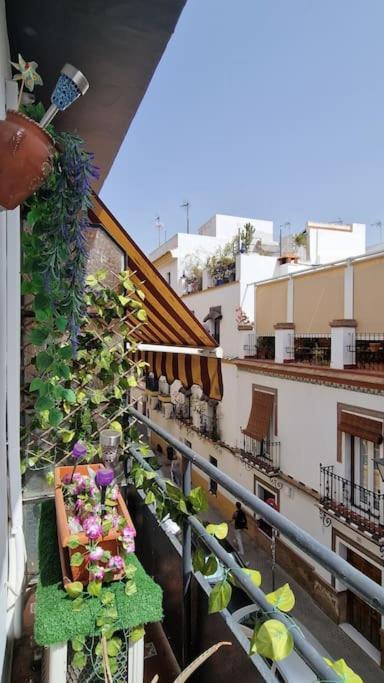 Luminoso Apartamento Centro Triana Apartment Seville Exterior photo